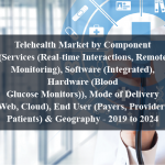 Telehealth Market by Component (Services (Real-time Interactions, Remote Monitoring), Software (Integrated), Hardware (Blood Glucose Monitors)), Mode of Delivery (Web, Cloud), End User (Payers, Providers, Patients) & Geography - 2019 to 2024