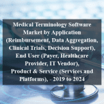 Medical Terminology Software Market by Application (Reimbursement, Data Aggregation, Clinical Trials, Decision Support), End User (Payer, Healthcare Provider, IT Vendor), Product & Service (Services and Platforms), - 2019 to 2024