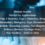 Human Insulin Market by Applications (Type 2 Diabetes, Type 1 Diabetes), Drugs (Biosimilars, Biologics), Type (Premixed), Brands (Humalog, Lantus, NovoRapid), Delivery Devices (Syringes Pens, Pen Needles) - 2020s to 2020