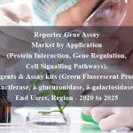 Reporter Gene Assay Market by Application (Protein Interaction, Gene Regulation, Cell Signalling Pathways), Reagents & Assay kits (Green Fluorescent Protein, Luciferase, â-glucuronidase, â-galactosidase), End Users, Region - 2020 to 2025