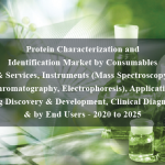 Protein Characterization and Identification Market by Consumables & Services, Instruments (Mass Spectroscopy, Chromatography, Electrophoresis), Application (Drug Discovery & Development, Clinical Diagnosis), & by End Users - 2020 to 2025