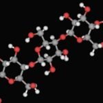 Nanocellulose Market